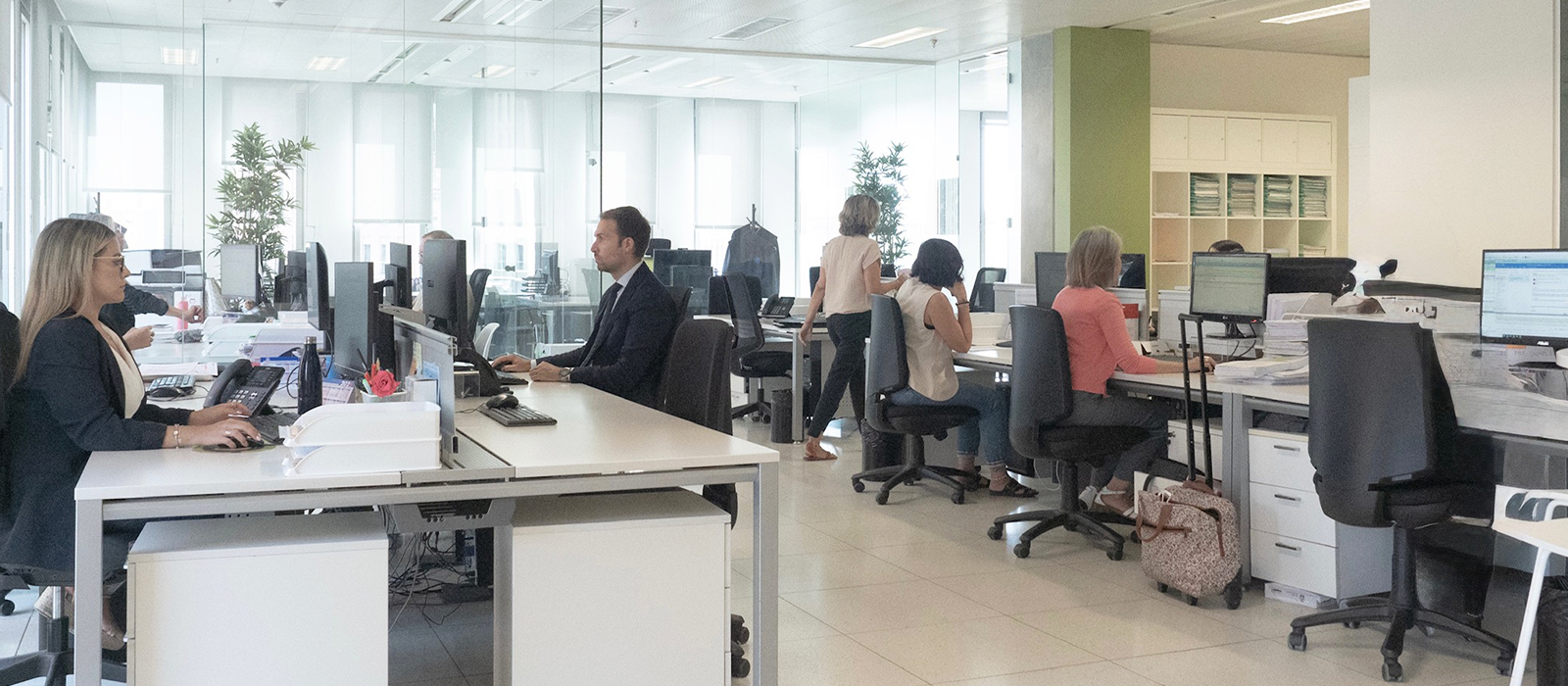 Segura Procuradores | Profesionalidad, Calidad e Inmediatez