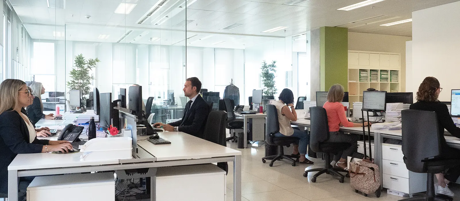 Segura Procuradores | Profesionalidad, Calidad e Inmediatez