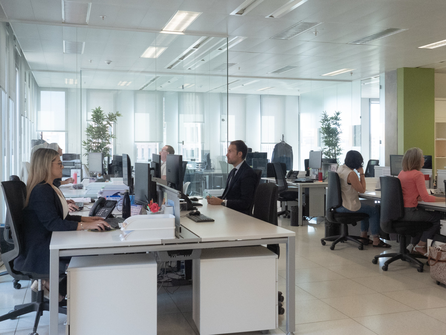 Segura Procuradors | Professionalitat, Qualitat, Immediatesa