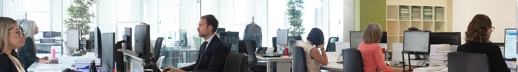 Segura Procuradores | Profesionalidad, Calidad e Inmediatez