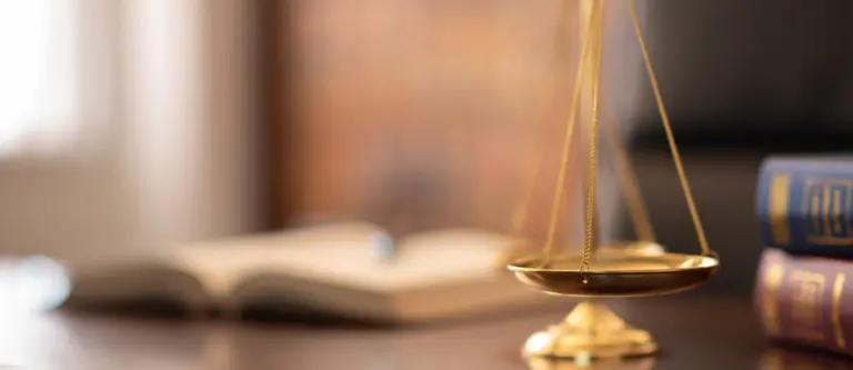 EL OBSERVATORIO CONTRA LA VIOLENCIA DOMESTICA Y DE GENERO PONE A DISPOSICION DE LOS JUECES UN DOCUMENTO PARA ACLARAR DUDAS SOBRE LA LEY L.O 1/25