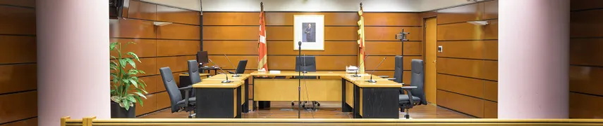 LA LLEI DE SEGONA OPORTUNITAT I EL CREDIT PUBLIC